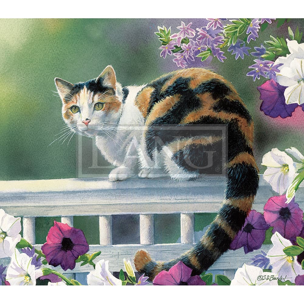 2023 cats in the country wallpaper may width=&quot;1000&quot; height=&quot;1000&quot;